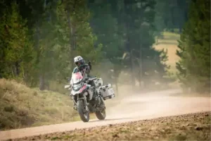 adventure-motorcycle-tour-georgia-woods